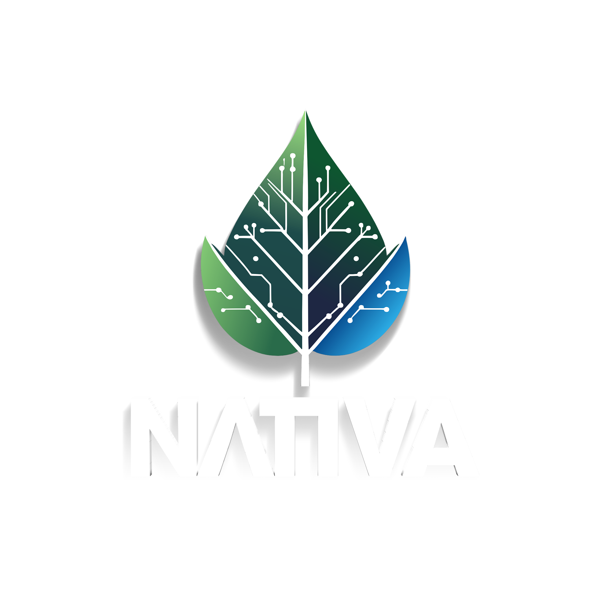 Logo Nativa